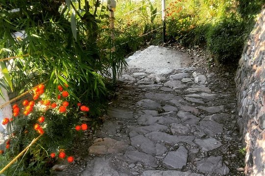 Tour image 6